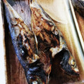 ♬あじさいのレシピ♬'s cooksnap of when they made 鯵の下処理→塩焼き～っ >゜)))彡.