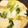 クックZ50UL2☆'s cooksnap of when they made ふわとろ玉子のあんかけ豆腐.