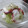 えみんちゅ＊'s cooksnap of when they made 簡単　タコのマリネ.