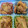 ◎みーちゃん◎'s cooksnap of when they made ■超簡単！豚肉とキャベツのマヨネーズ炒め.