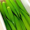 rikihaha's cooksnap of when they made オクラの煮浸し.