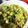 雨の匂い's cooksnap of when they made オクラの優しいインドカレー⭐.