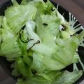 イロピリン's cooksnap of when they made レタスとセロリの塩こんぶナムル.
