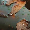 ☆☆ゆうか☆☆'s cooksnap of when they made 簡単すぎる鶏レバー甘辛煮.