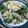 tomorin327's cooksnap of when they made ブロッコリーのマヨごまポン酢サラダ.