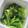 tamago大好き's cooksnap of when they made つるむらさきと、にんにくの炒め物.