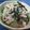 miyuki12's cooksnap of when they made ありそうでなかった～白身魚のつけ焼き.