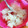 ☆★まなみん★☆'s cooksnap of when they made みかんの缶詰で簡単かき氷.