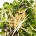 クックBLTENE☆'s cooksnap of when they made 貝割れ大根の塩昆布和え.