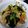 クックJMXHYH☆'s cooksnap of when they made 旨っ！きのこと小松菜の煮浸し.