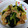 クックJMXHYH☆'s cooksnap of when they made 旨っ！きのこと小松菜の煮浸し.