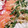 クックKE2GUH☆'s cooksnap of when they made 簡単★タコとアジのお刺身を薬味たっぷりで.