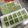 かっぱちゃん♡'s cooksnap of when they made 離乳食中期卵白克服！はんぺんブロッコリー.