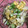 ちゃぎー's cooksnap of when they made エリンギと卵の中華風炒め.