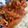 さ、き's cooksnap of when they made 簡単☆ルーなし。トマトでハヤシライス.