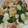 ナーちゃん's cooksnap of when they made 鶏肉と長芋とピーマンのあっさり炒め.