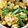 みかみか＾＾'s cooksnap of when they made 15分で作れる♪ニラ豆腐丼.