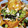 ブランシュkuu's cooksnap of when they made ☆カリ！ウマっ！！厚揚げ焼き☆.