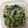 クック78R779☆'s cooksnap of when they made 簡単☆三つ葉とエノキのわさびお浸し.
