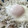 amileamila's cooksnap of when they made たっぷりしらすの目玉焼き☆.