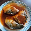 クックH5DJVN☆'s cooksnap of when they made 簡単！サバの味噌煮.