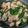 クックPCKCO5☆'s cooksnap of when they made ニラが主役！お弁当にも♪オイスター炒め.
