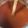 カントリンブンブン's cooksnap of when they made 裏ごししないトマトピューレ.