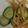 クックUL8OCM☆'s cooksnap of when they made レンジ◎簡単◎もやしの中華サラダ.