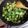 babel66t's cooksnap of when they made ★お薦め！★きゅうりのパリパリ漬け.