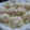 ﾎﾟｺﾀ's cooksnap of when they made 意外と簡単♪いかしゅうまい　.