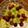 bonnet's cooksnap of when they made 農家さん直伝☆ぶどうの保存方法.