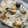 さちかほ's cooksnap of when they made 鮭フレークで簡単！炊き込みご飯♪.