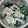 G_Yossan's cooksnap of when they made わかめとじゃこ 混ぜご飯.