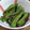 bandereas's cooksnap of when they made 焼きししとうの胡麻まみれ.