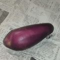 きらり流れ星's cooksnap of when they made なす保存っ！ベジバッジで解決っ！.