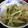 ゆ0518か's cooksnap of when they made もやしとピーマンのニンニク炒め.