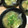 ともにゃん♪♪'s cooksnap of when they made 揚げない鰆の揚げ焼き、みぞれ出汁あんかけ.