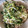 あーりょうママ's cooksnap of when they made きゅうりともやしのシーチキン和え♫.