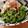 つばき417's cooksnap of when they made ゴーヤーとしらすの白だし和えサラダ.