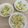 もぎゅもぎゅ♪'s cooksnap of when they made 簡単キャンプ飯！枝豆トウモロコシごはん！.