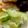 MULA's cooksnap of when they made きゅうりおかかめんつゆマヨ酢[作り置き].