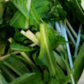 茶トラキッズ's cooksnap of when they made 長持ち！水菜の冷蔵、冷凍保存方法.
