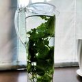 たいちまん's cooksnap of when they made レモンバームバジル大葉のハーブ水.