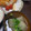 2児ママみきてぃ's cooksnap of when they made とうがんスープ（ソーキが無くても大丈夫）.