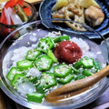 nao0312's cooksnap of when they made オクラと梅の冷やし茶漬け.