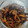 rumi_0508's cooksnap of when they made 作り置きに☆ひじきの煮物.