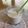  milkchoco's cooksnap of when they made 夏だ！●桃とバナナのスムージー●.