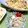 YUH♡ママ's cooksnap of when they made 切り干し大根ときゅうりの塩麹和え.