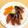 ★ぴよぴよ501★'s cooksnap of when they made 煮野菜de鰹のたたき.