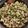 みこひろママ's cooksnap of when they made 炒めるだけ！簡単きゅうりチャンプルー.